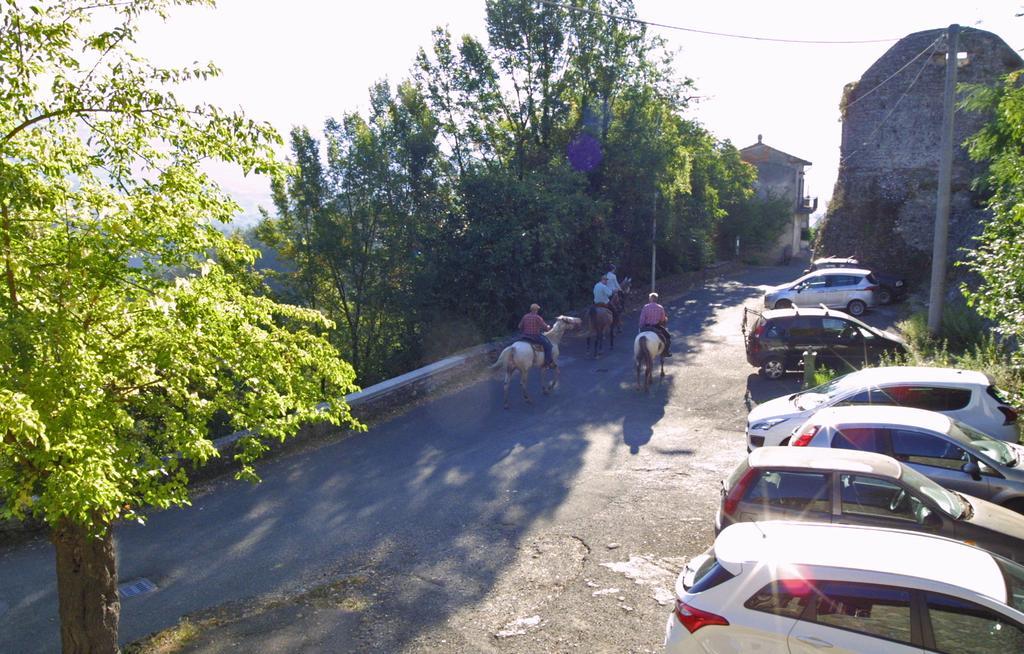 Forni Rosaia Villa Olivola  Ngoại thất bức ảnh