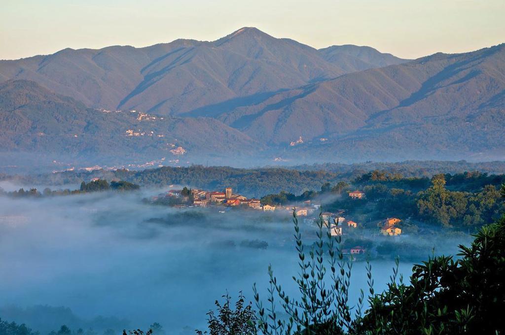 Forni Rosaia Villa Olivola  Ngoại thất bức ảnh