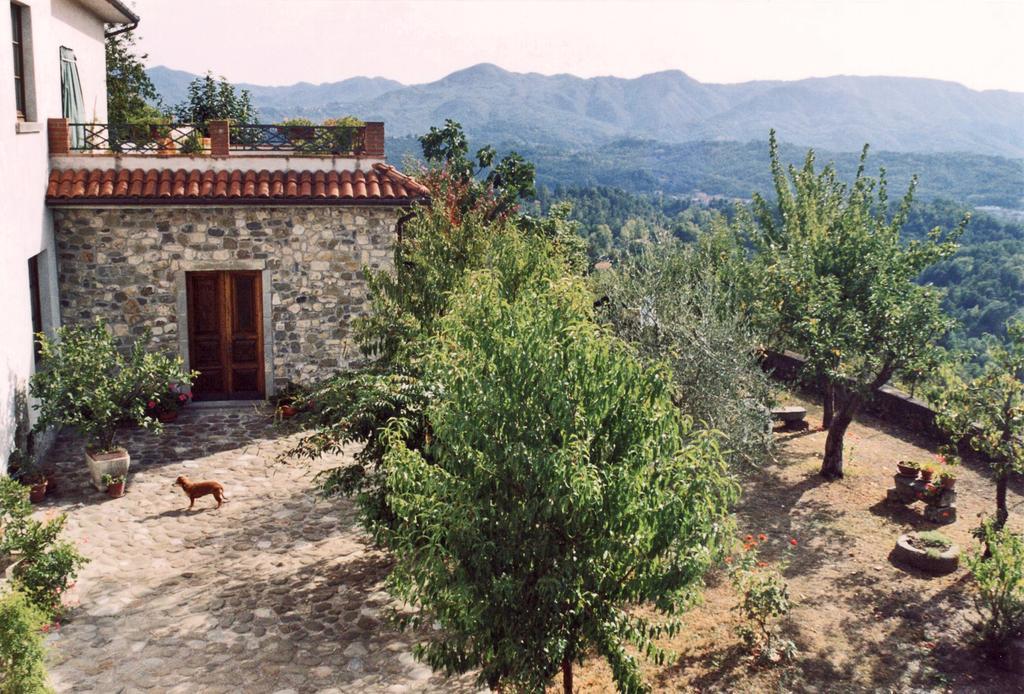 Forni Rosaia Villa Olivola  Ngoại thất bức ảnh