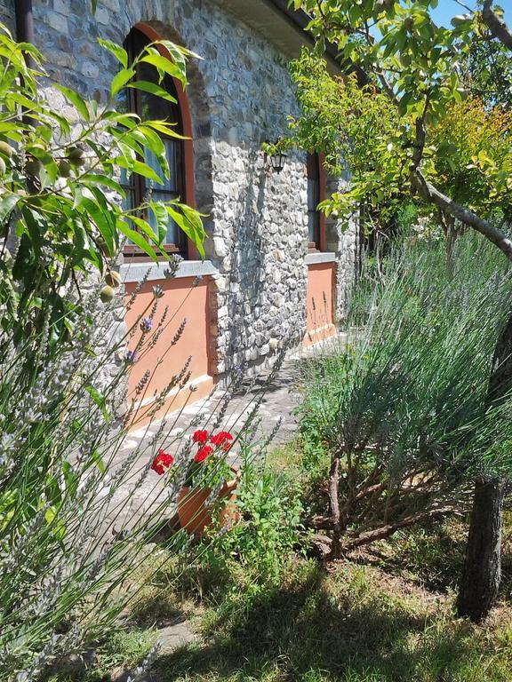 Forni Rosaia Villa Olivola  Ngoại thất bức ảnh